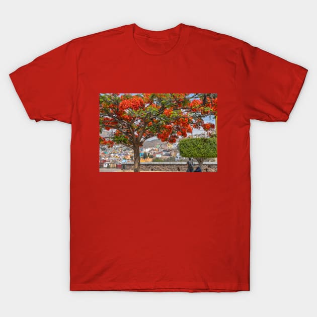 Mexico. Guanajuato. Flaming Tree. T-Shirt by vadim19